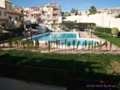 Communal Pool